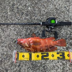 陸っぱり釣行記