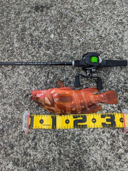 陸っぱり釣行記