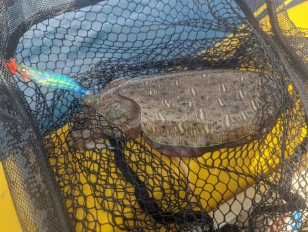 ティップランでデカモンゴウ