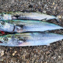 ここにもｷﾀ━━━(￣∀￣)━━━ｯ!!!…