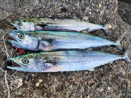 ここにもｷﾀ━━━(￣∀￣)━━━ｯ!!!…