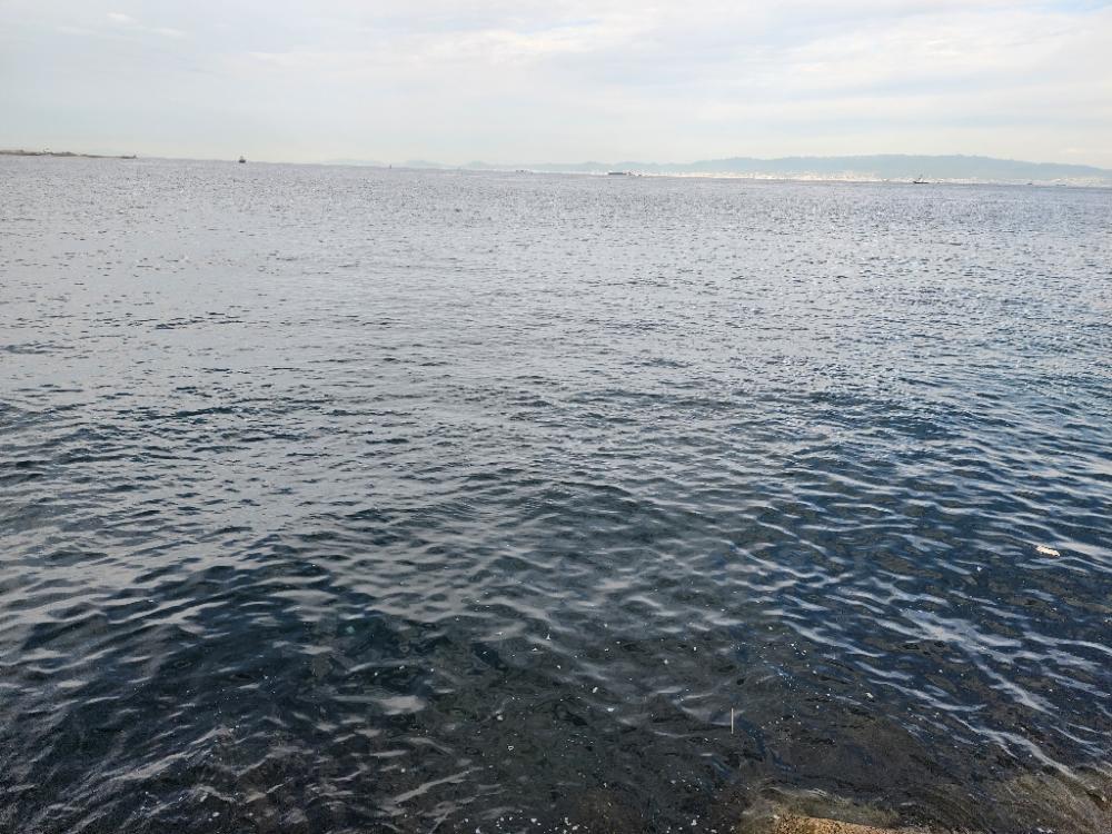 シーズン本格化?