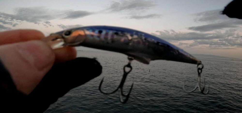 ナンテコッタ(๑°ㅁ°๑)‼