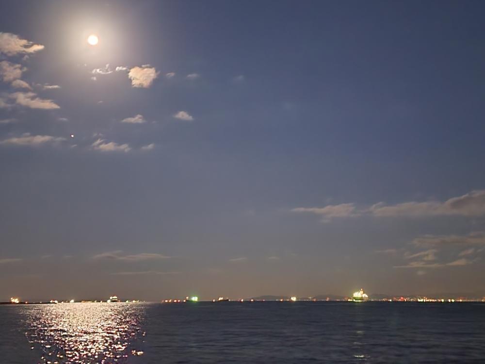 青物祭りはまだ(´-ω-`)