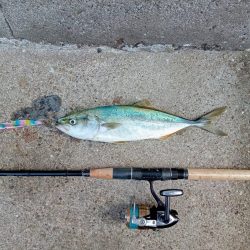 プチsalt water game