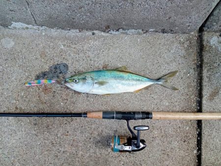 プチsalt water game