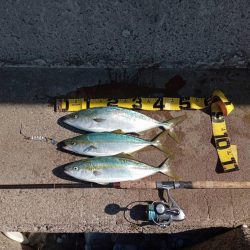 プチsalt water game