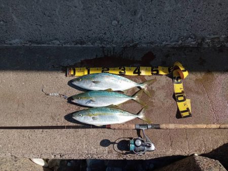 プチsalt water game