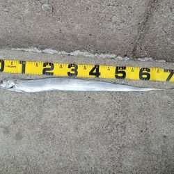 プチsalt water game