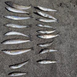 浜辺で投釣り
