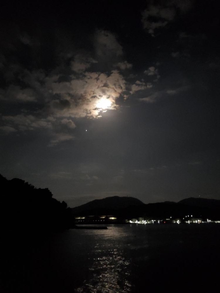 夕マズメ、短時間のタチウオ狙い