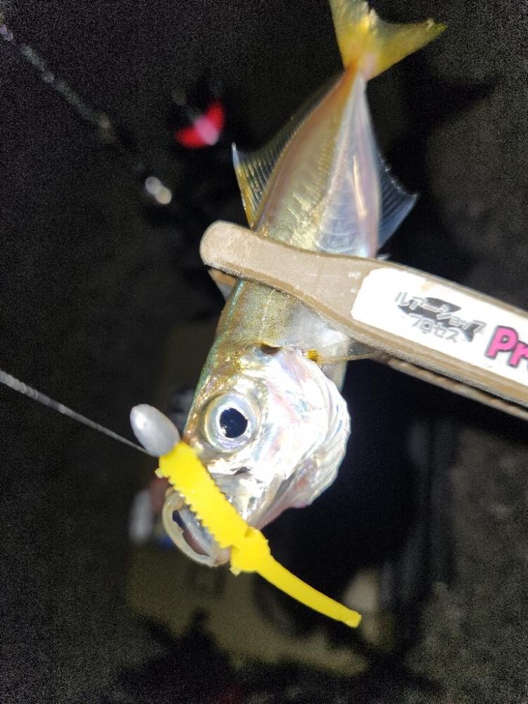 やっぱ、ホームでしょ