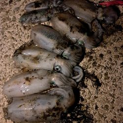 サイズが小さい