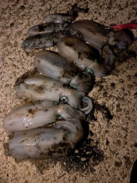 サイズが小さい