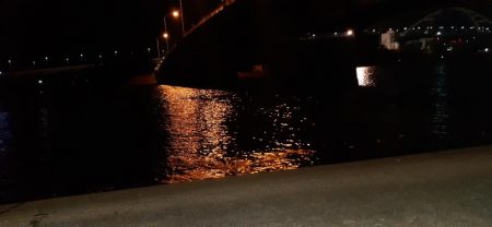 西宮周辺　シーバス