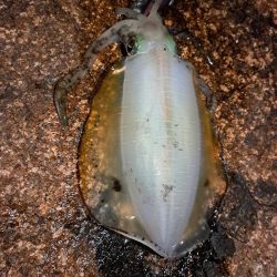 当たりが遠のいてきました。