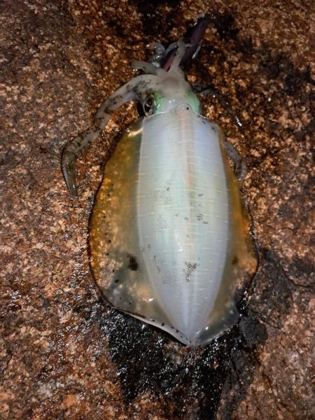 当たりが遠のいてきました。