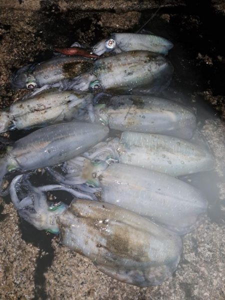 もうこれぐらいの数なのかな