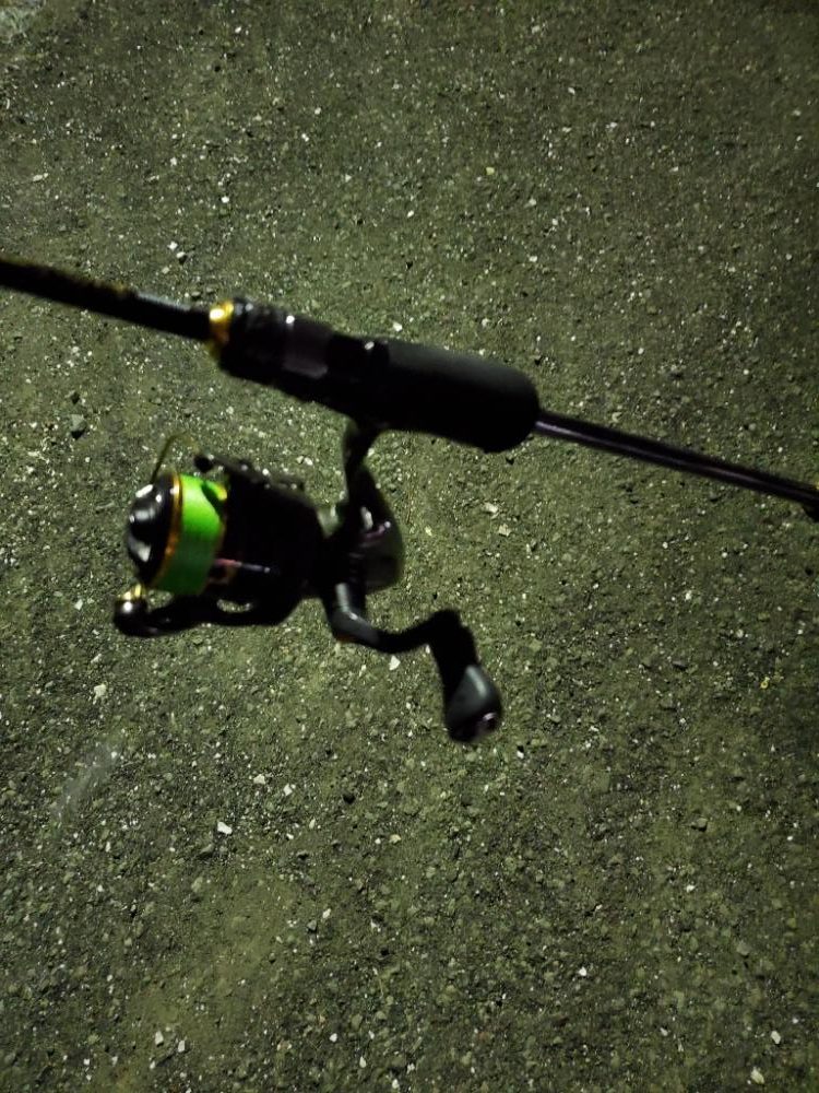 久しぶりのジグ単アジング