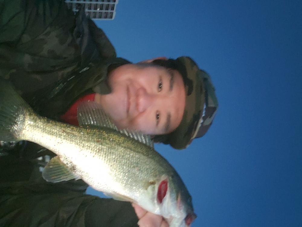 夢のつづきを