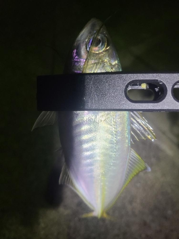 イベントアジング参加1日目