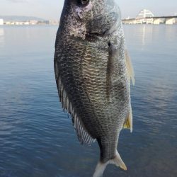 河口でなんとか１枚