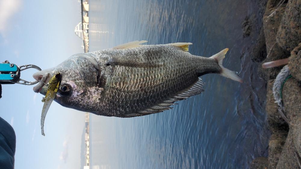 河口でなんとか１枚