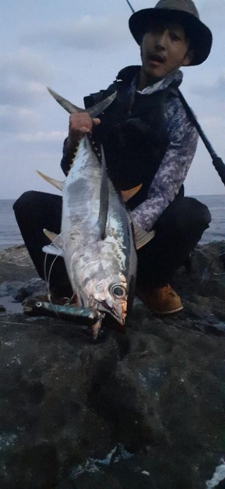 磯からマグロ