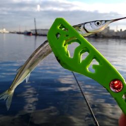 釣れるものを確実に釣る