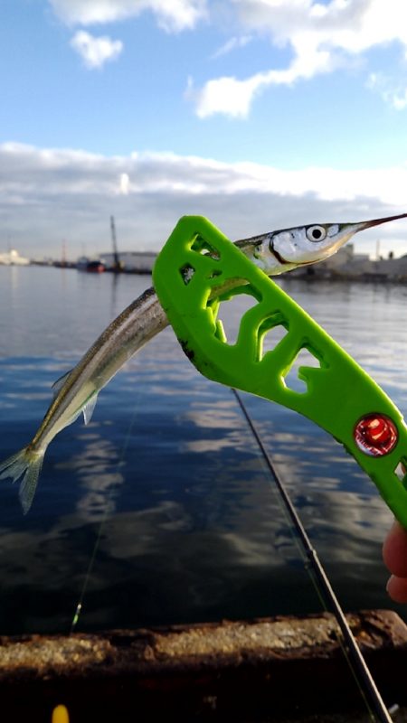 釣れるものを確実に釣る