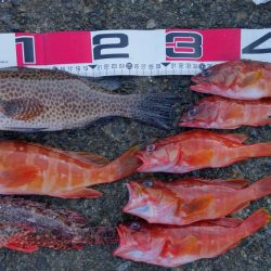 シマノの磯釣り大会の順延日でした