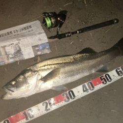 バースデーシーバス