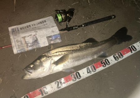 バースデーシーバス