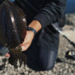 デイエギングで良型連発！太刀魚の大群も！