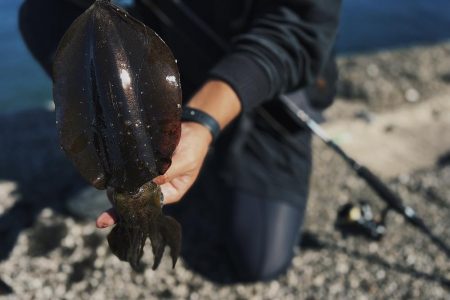 デイエギングで良型連発！太刀魚の大群も！