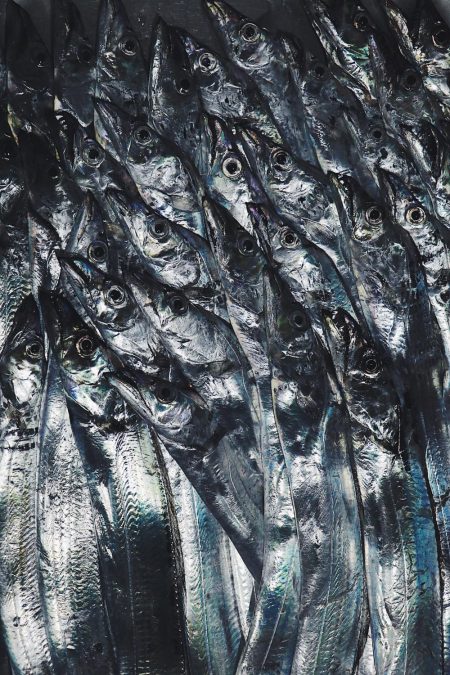 タチウオ爆沸き！！