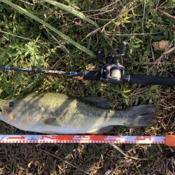 久しぶりのバス！