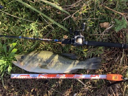 久しぶりのバス！