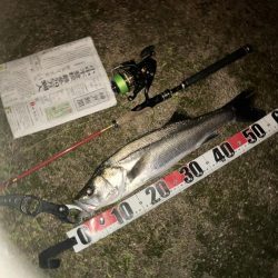 わーははははは