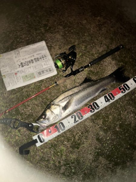 わーははははは