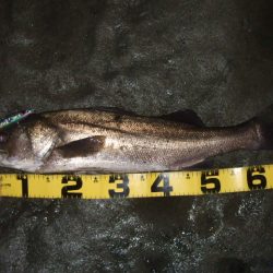 なんとか一本だけ