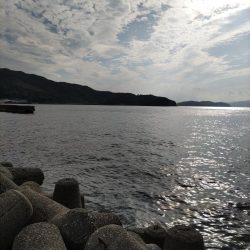 エギング　からのアジング