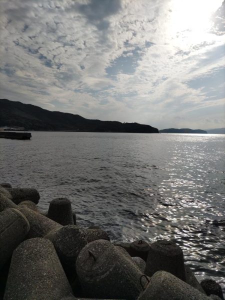 エギング　からのアジング