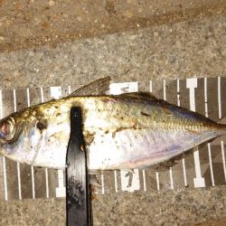 錆び落とし完了