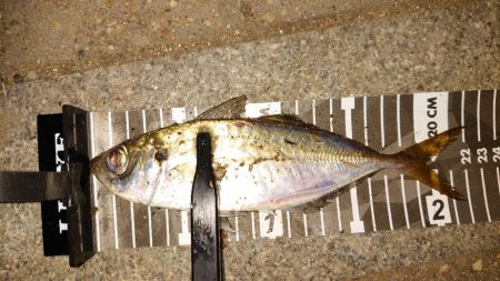 錆び落とし完了