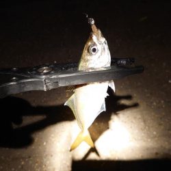 そんなに上手くはいきません。