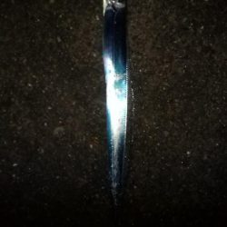 ミカンの美味しい季節になりました。