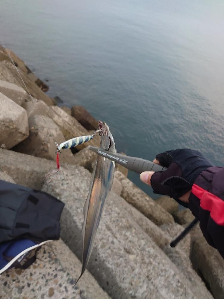 ショアジギング