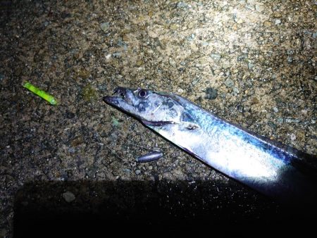 少し遅めの刀狩り！