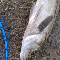 北西風で荒れ荒れ